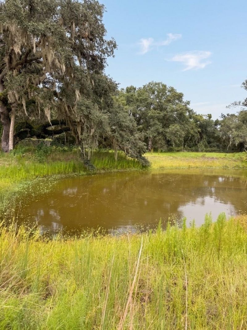 3030 SE Highway 31, Arcadia, FL 34266 Photo