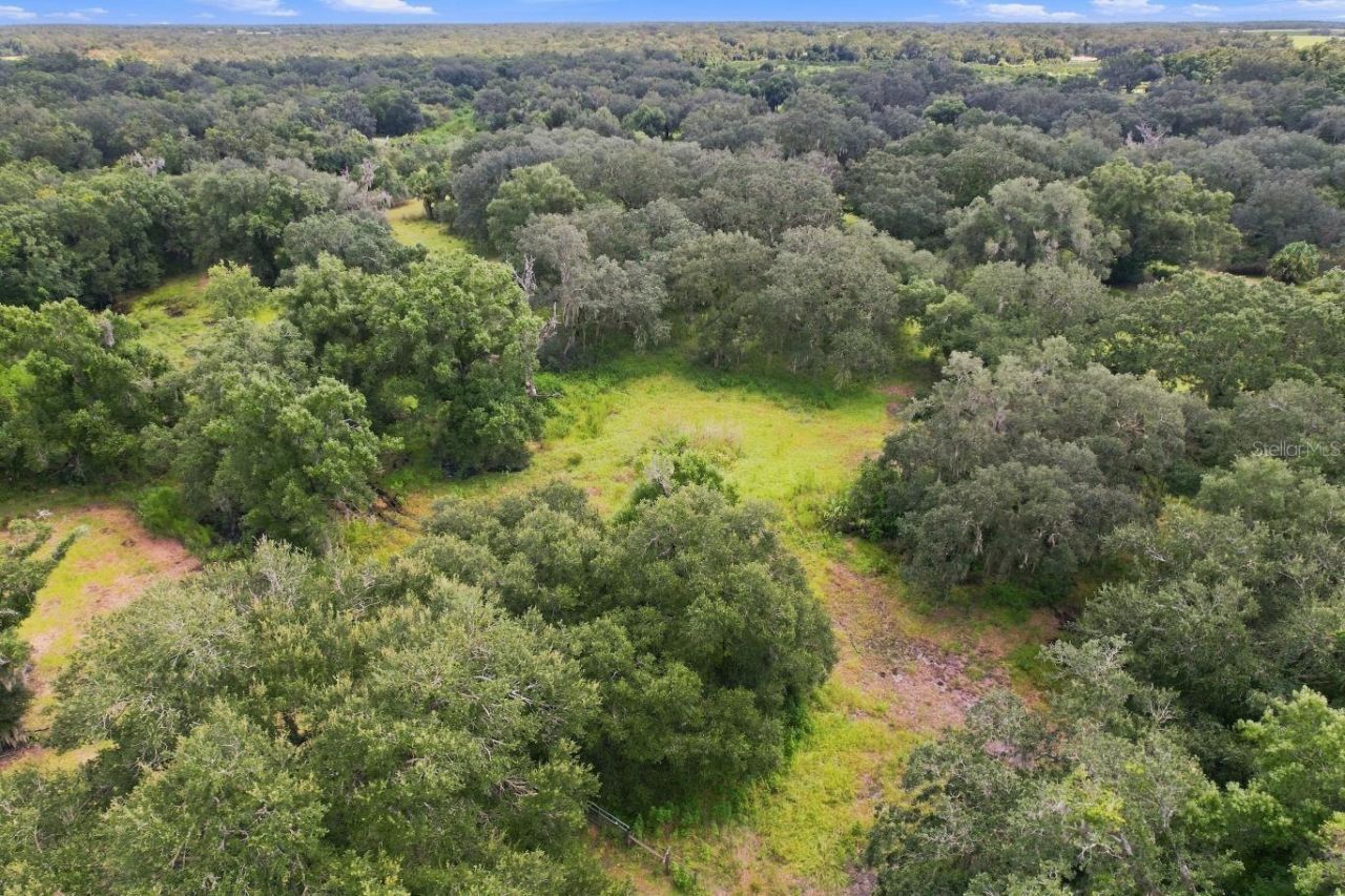 3030 SE Highway 31, Arcadia, FL 34266 Photo