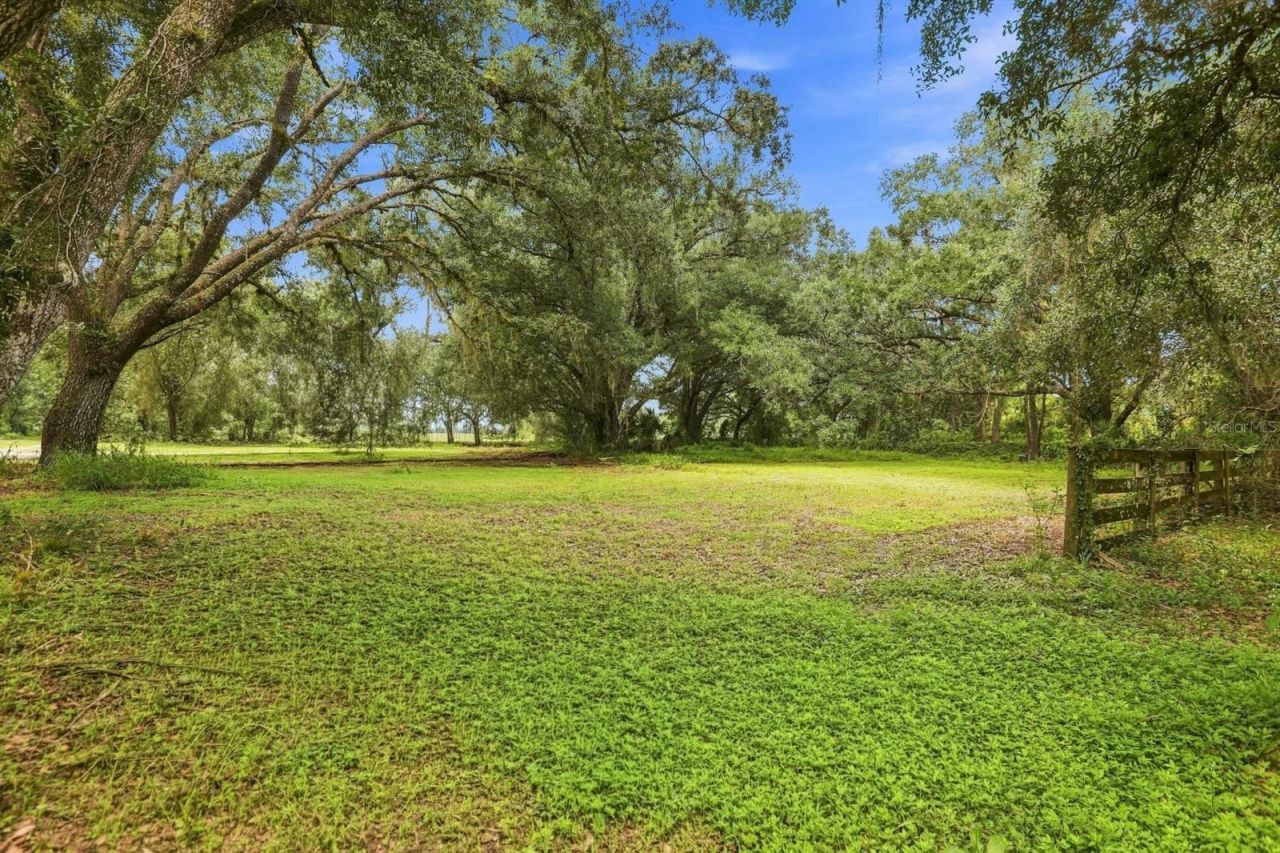 3030 SE Highway 31, Arcadia, FL 34266 Photo