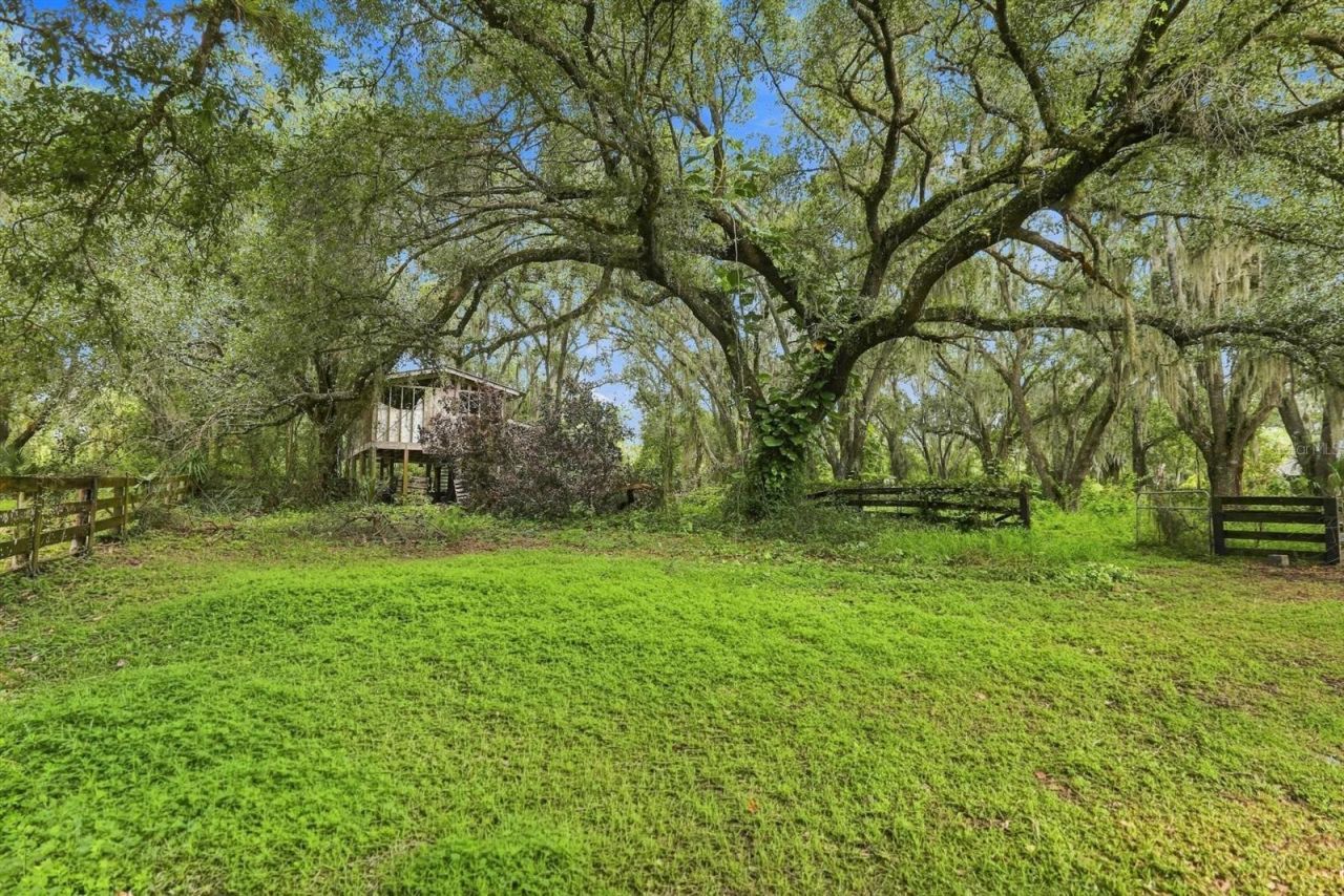 3030 SE Highway 31, Arcadia, FL 34266 Photo