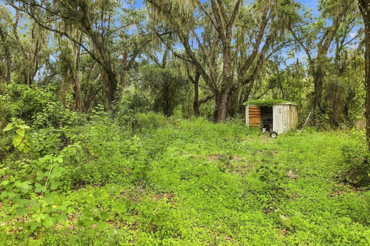 3030 SE Highway 31, Arcadia, FL 34266 Photo
