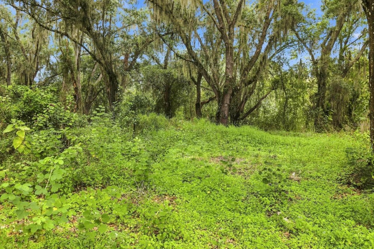 3030 SE Highway 31, Arcadia, FL 34266 Photo