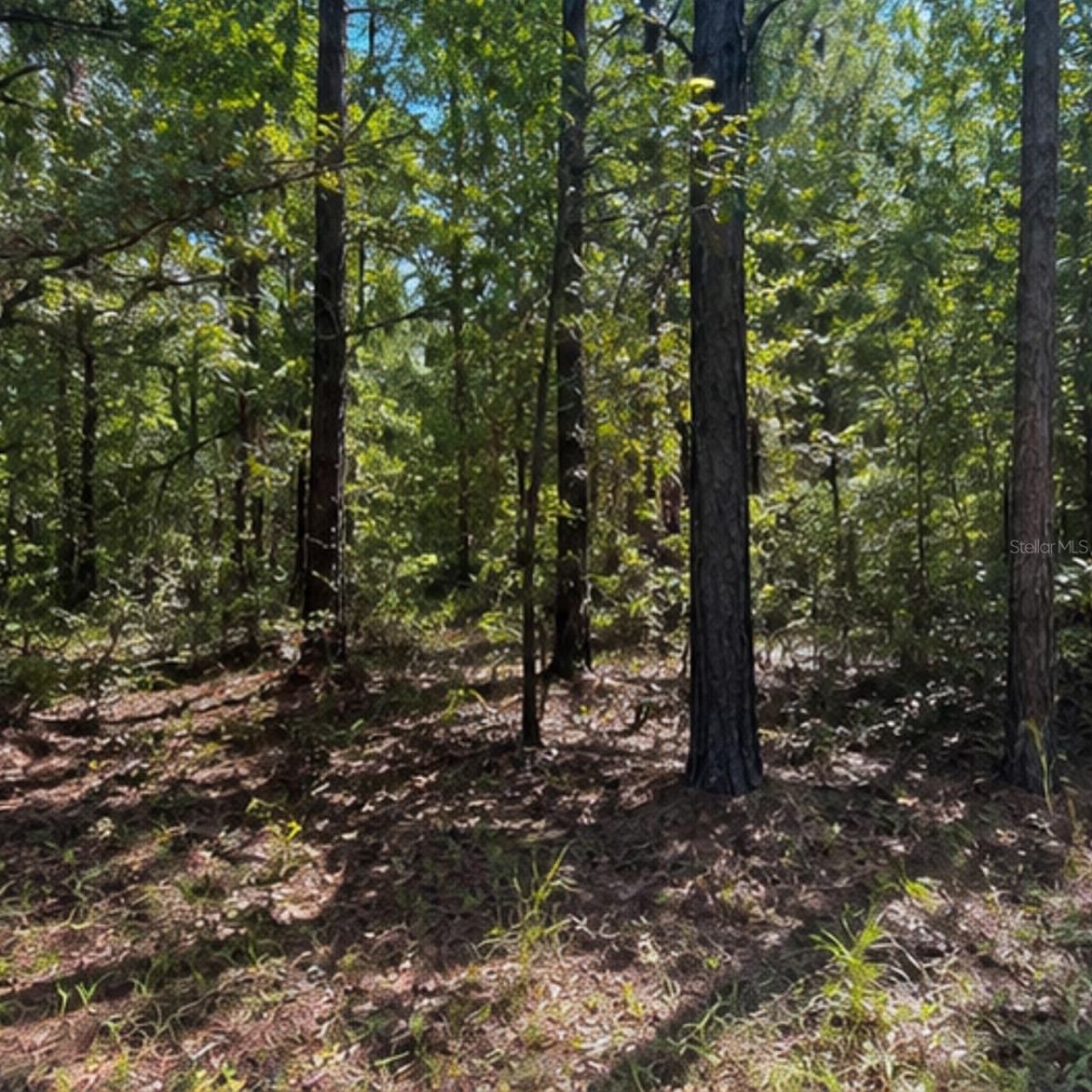 Rochelle Lane , Crestview, FL 32539 Photo