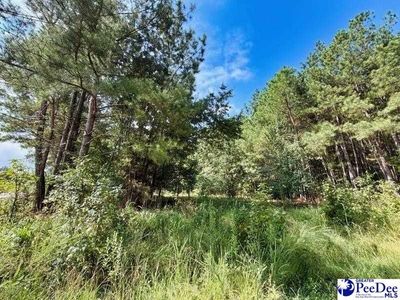 Laney Road, Cheraw, SC 29520