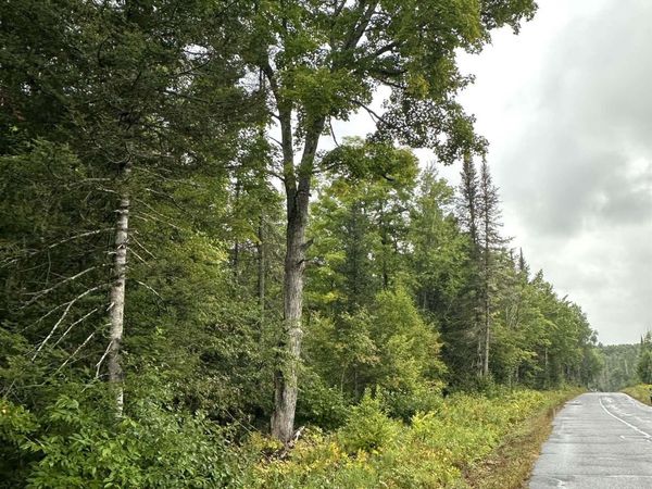 TBD Old Beechwood Road, Iron River Twp, MI 49935