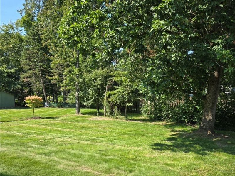 5411 Harleston Drive, Lyndhurst, OH 44124 Photo 3