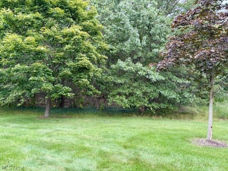 2311 Montague Avenue , Avon, OH 44011 Photo 8