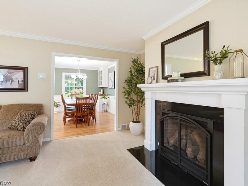 33445 Coachman Lane, Solon, OH 44139 Photo 11