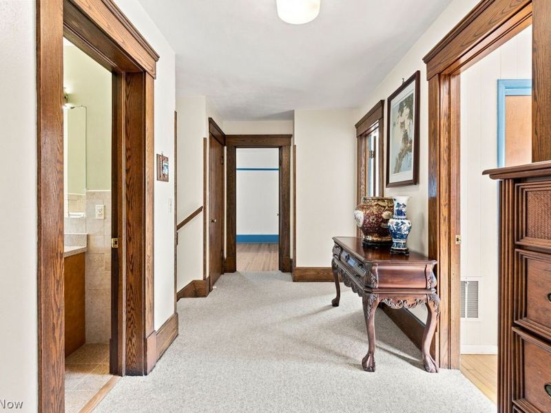 408 E College Street, Oberlin, OH 44074 Photo 19