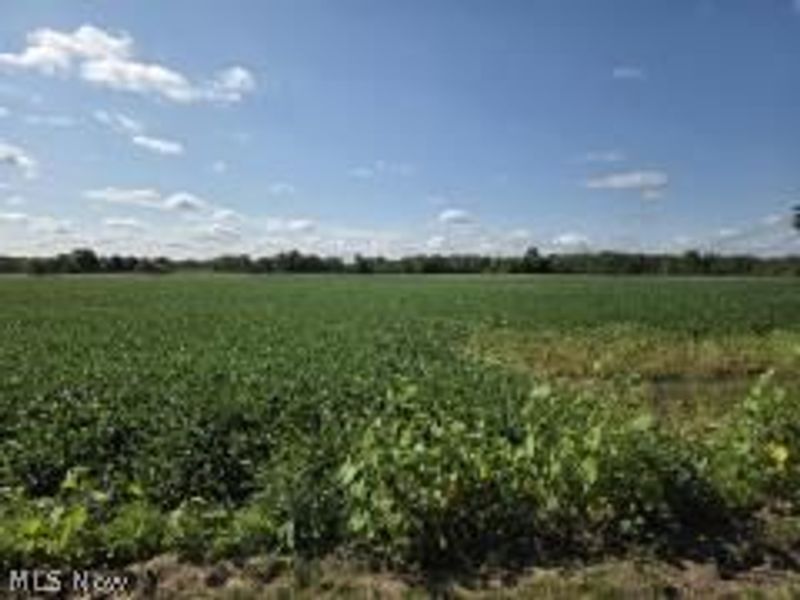 VL Stone Rd , Medina, OH 44256 Photo 1