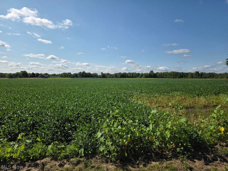VL Stone Rd, Medina, OH 44256 Photo 1