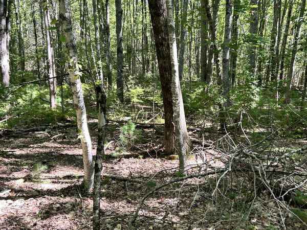 #56 S South Waterboro Road , Lyman, ME 04002