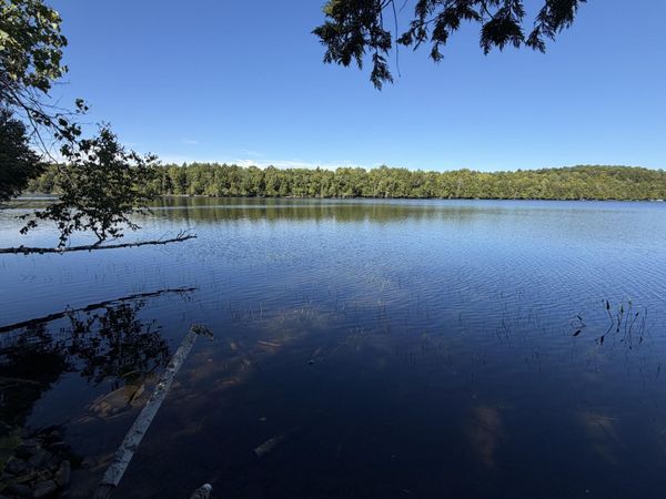 Map 9 Lot 6 Raspberry Lane , Ripley, ME 04930