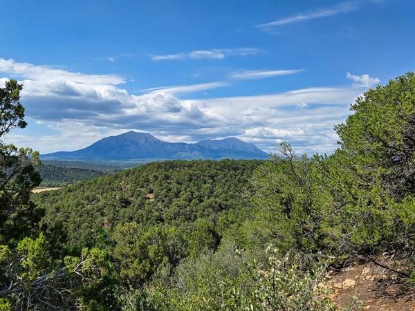 7 La Veta Pines Ranches, Walsenburg, CO 81089