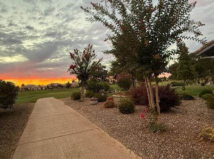 397 Fairway Dr, Ione, CA 95640 Photo