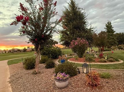397 Fairway Dr, Ione, CA 95640 Photo