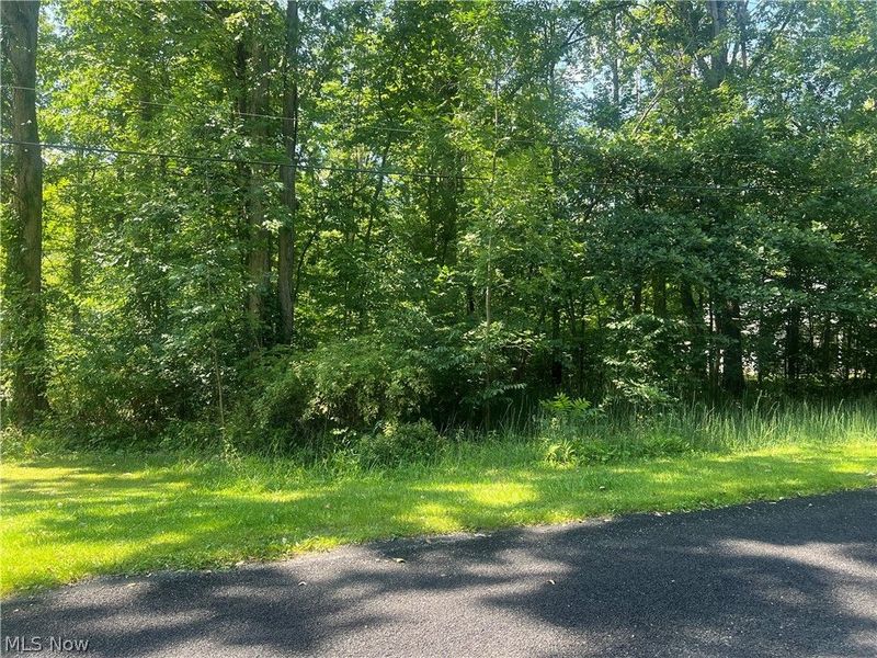 618 Oriole Drive, Roaming Shores, OH 44084 Photo 3