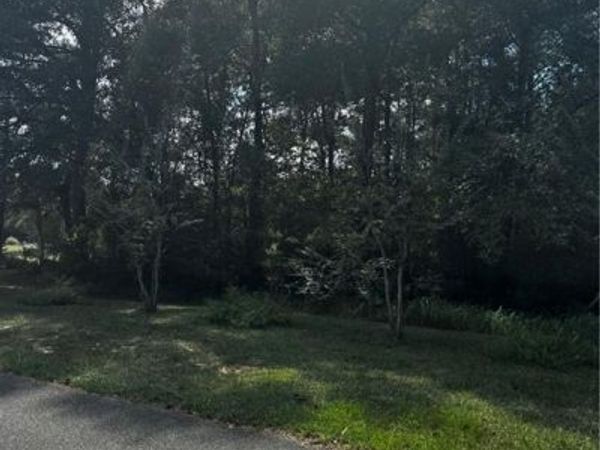 7 Beckham Court, Mount Vernon, AL 36560