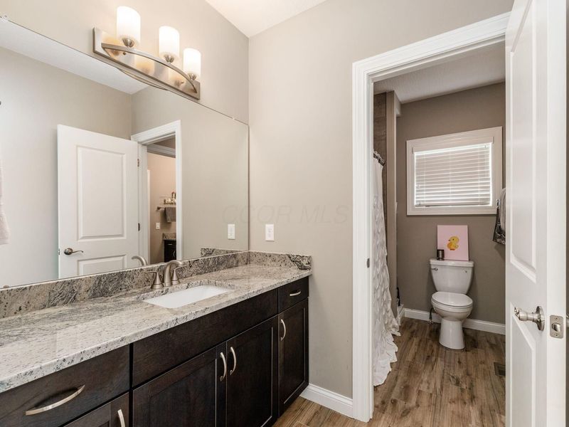 7164 Emmet Row Lane, Dublin, OH 43017 Photo 42