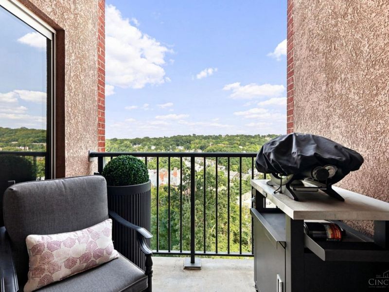 3435 Golden Avenue, Unit 701, Cincinnati, OH 45226 Photo 30