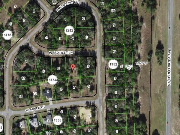 1384 W Scarlet LN , Dunnellon, FL 34434