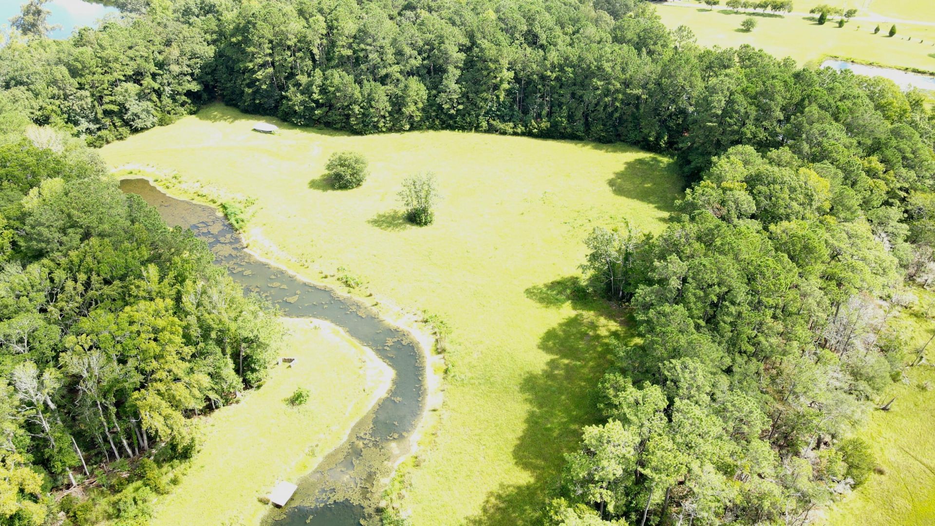 4503 Chisolm Road Photo 15