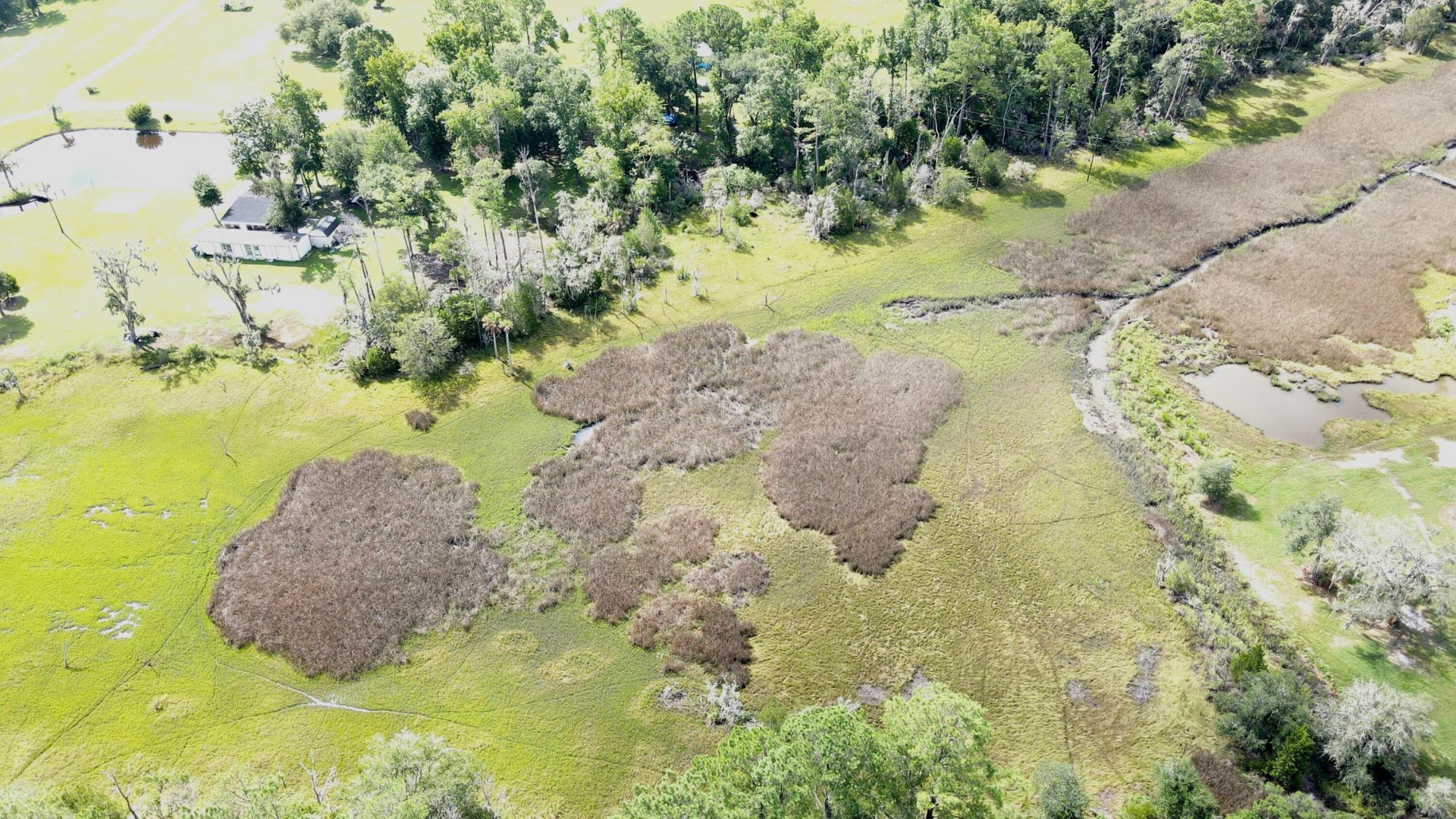 4503 Chisolm Road Photo 17