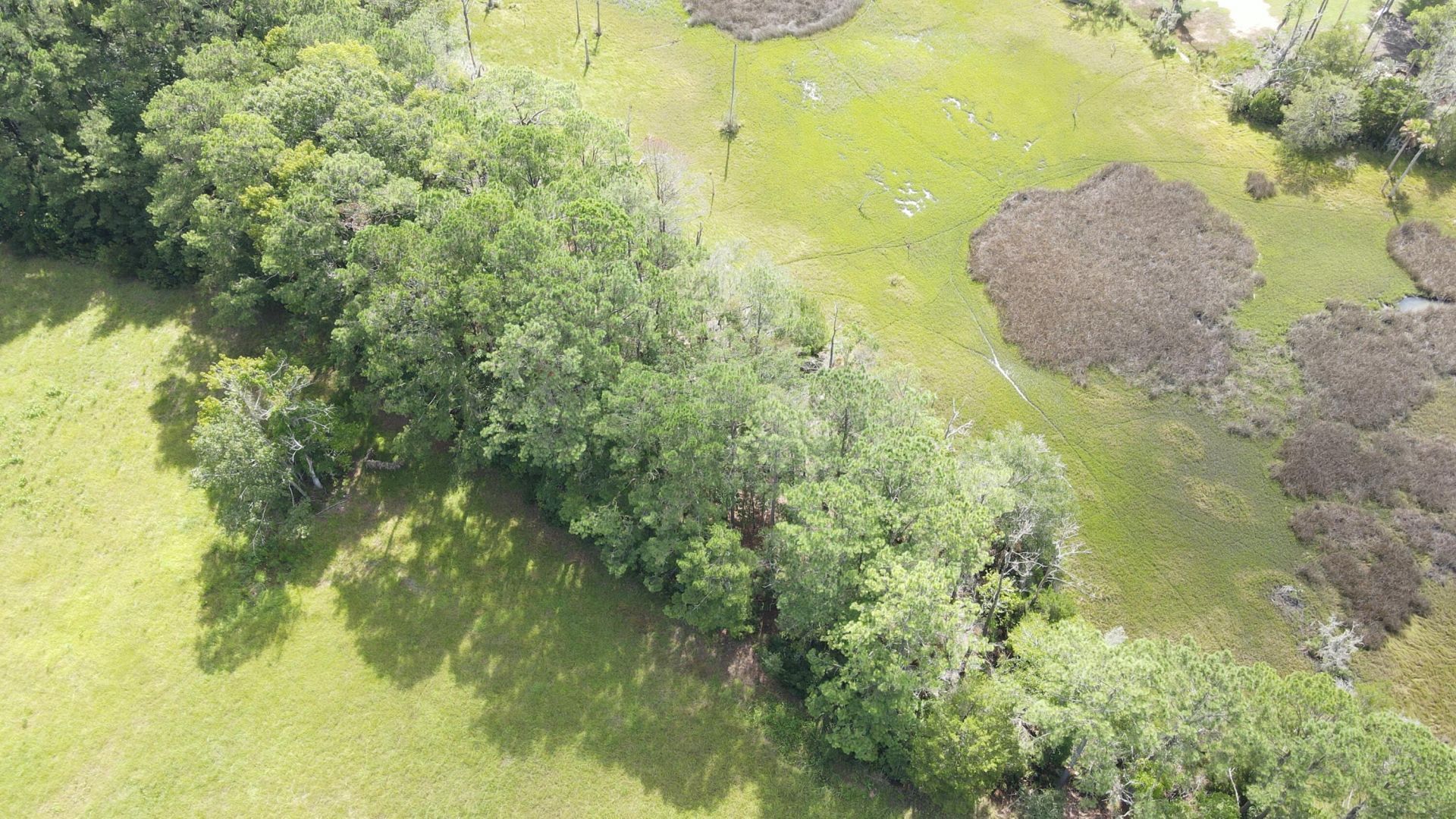 4503 Chisolm Road Photo 18