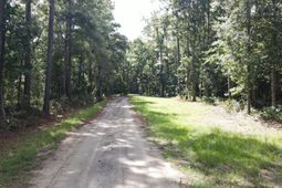 4503 Chisolm Road photo 4