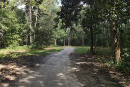 4503 Chisolm Road photo 4
