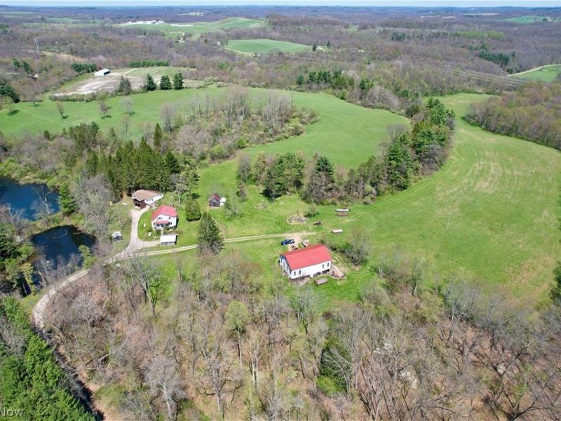 4101 Peace Road SE, Carrollton, OH 44615 Photo 12