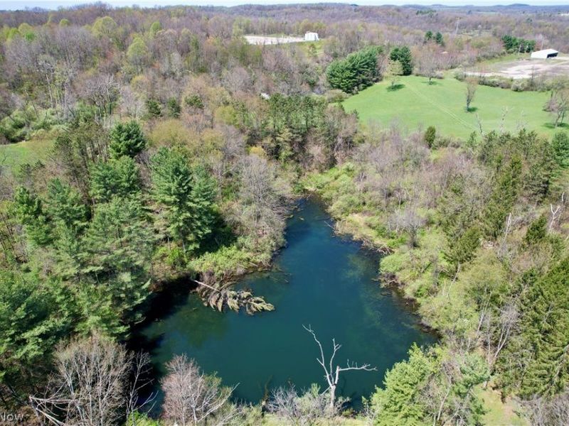4101 Peace Road SE, Carrollton, OH 44615 Photo 13
