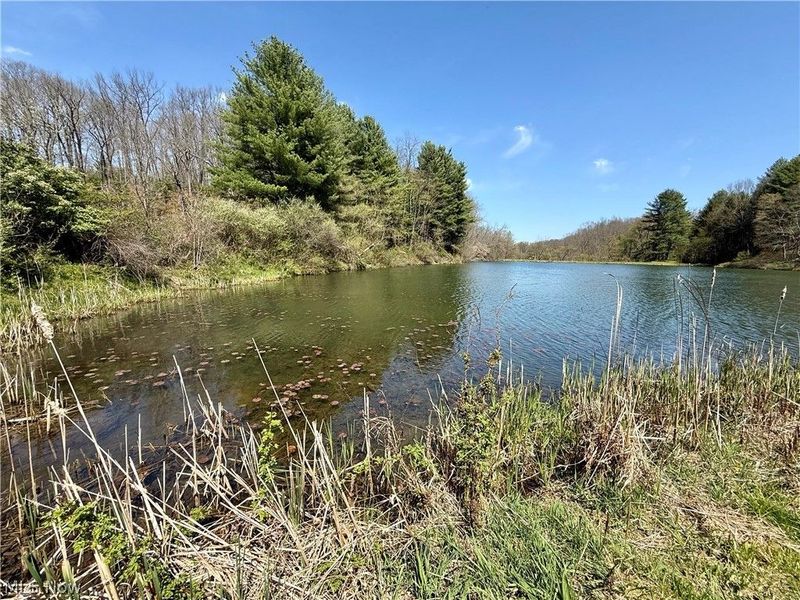 4101 Peace Road SE, Carrollton, OH 44615 Photo 24