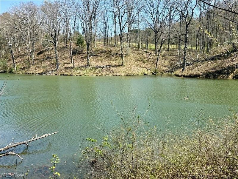 4101 Peace Road SE, Carrollton, OH 44615 Photo 25