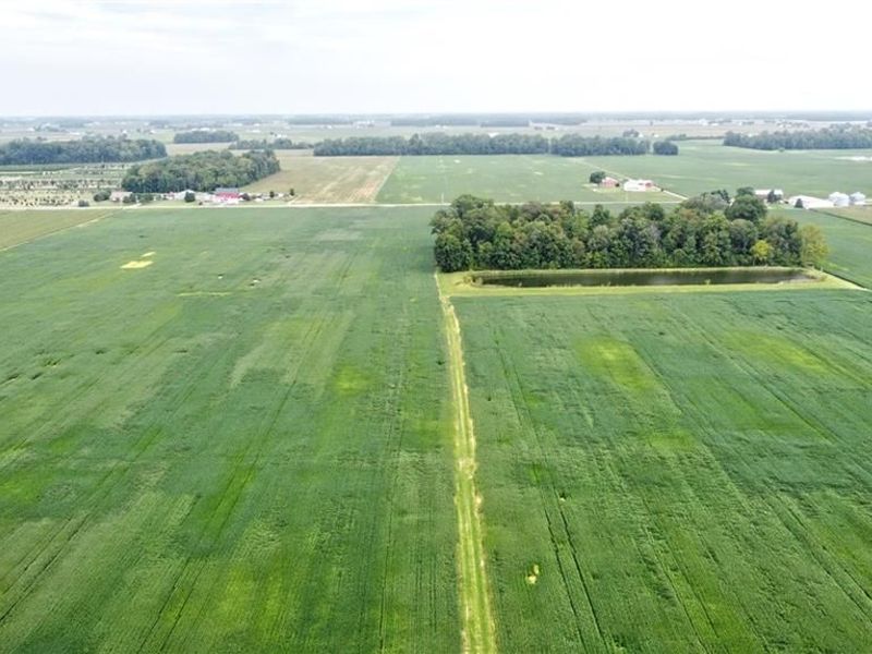 Tract 1 North County Line Road, Brookville, OH 45309 Photo 6