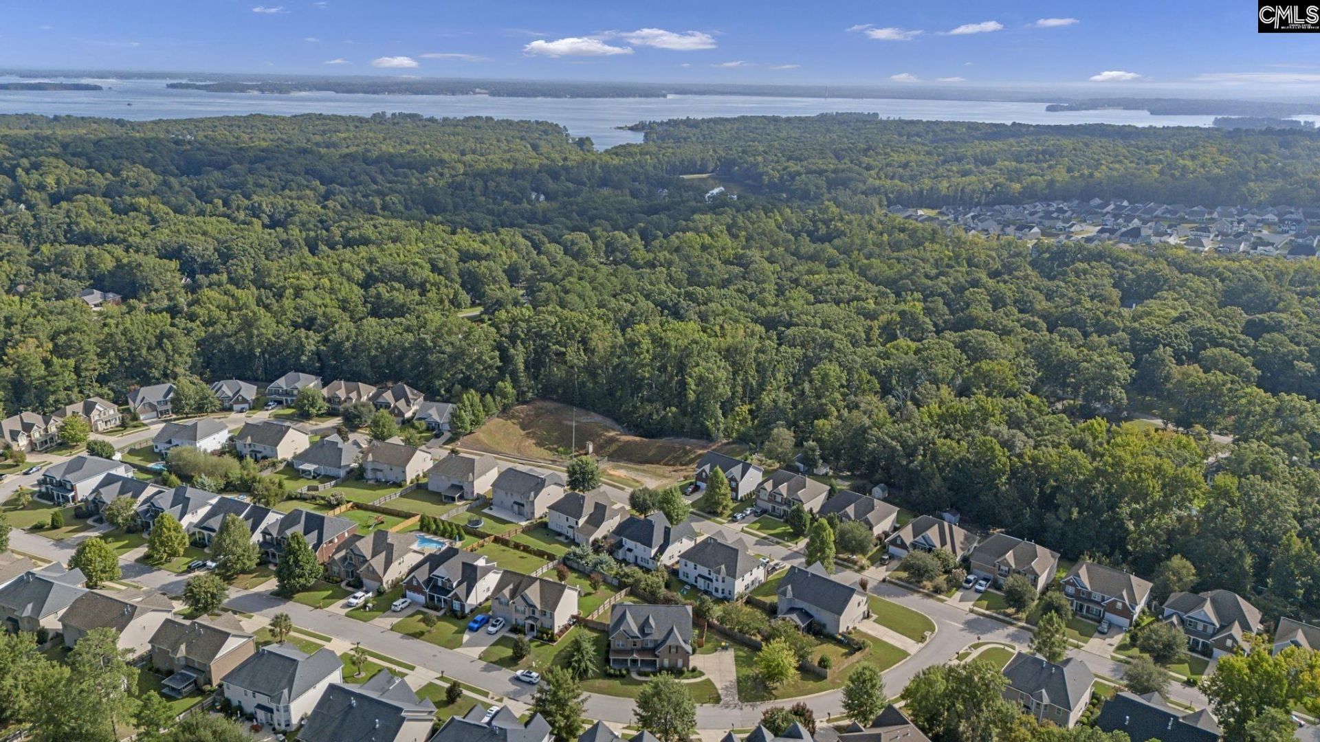 463 Bronze Drive  Photo 49