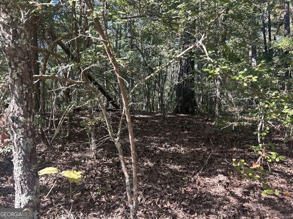 0 Springer Road, Whitesburg, GA 30185