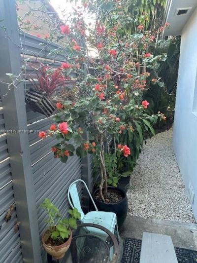 2 NE 44th St , Miami, FL 33137 Photo