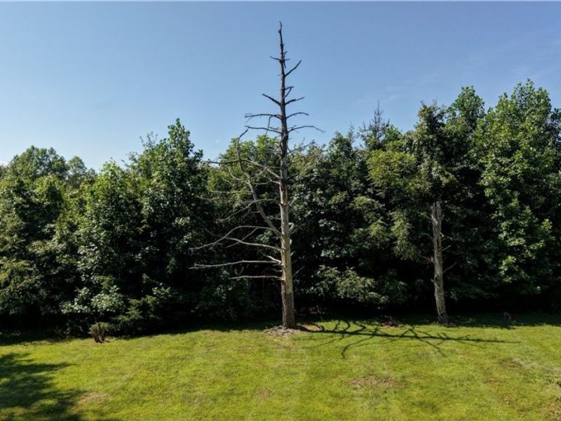 33111 Township Road 490 , Killbuck, OH 44637 Photo 47