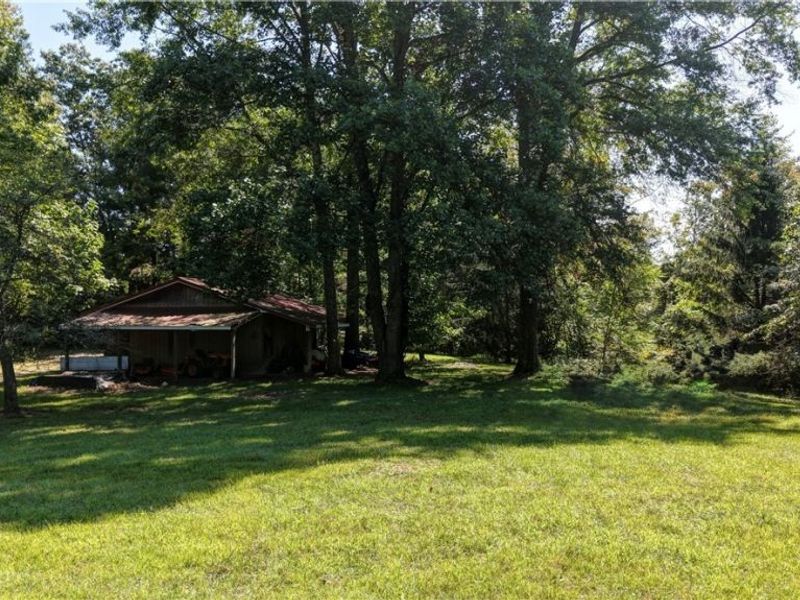 33111 Township Road 490 , Killbuck, OH 44637 Photo 48