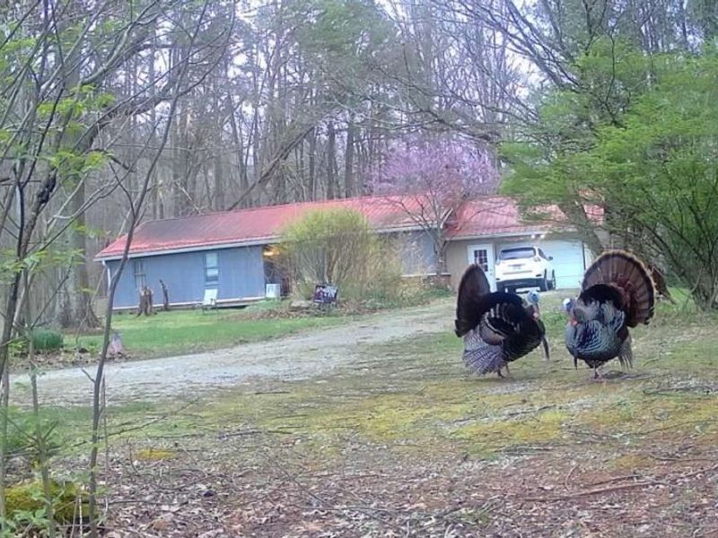 33111 Township Road 490, Killbuck, OH 44637 Photo 49