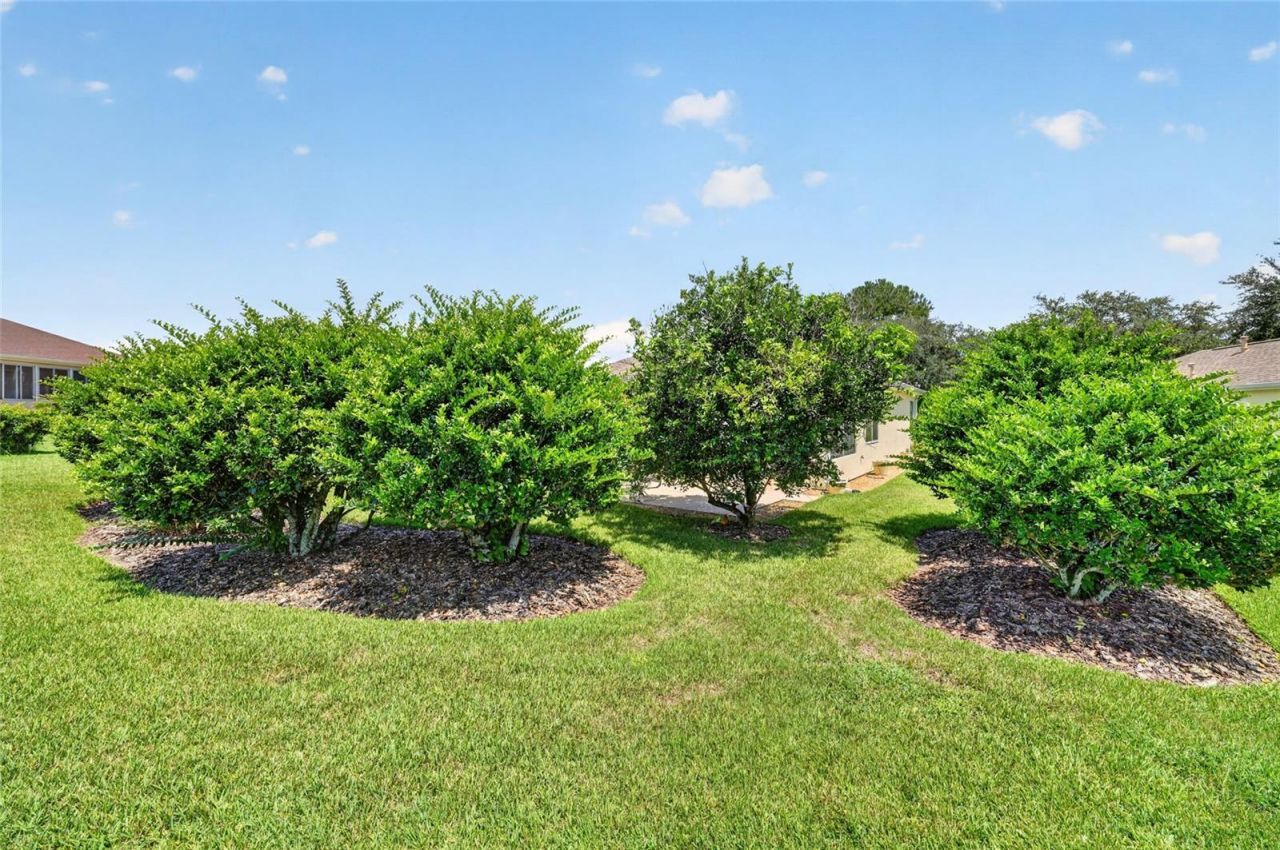 9451 SE 132nd Loop, Summerfield, FL 34491 Photo
