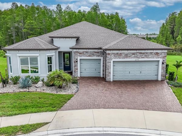 18793 HORIZON VIEW POINT , LAND O LAKES, FL 34638