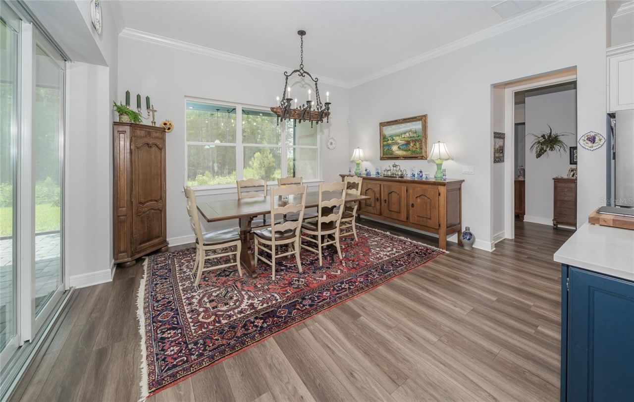 18793 Horizon View Point , Land O Lakes, FL 34638 Photo