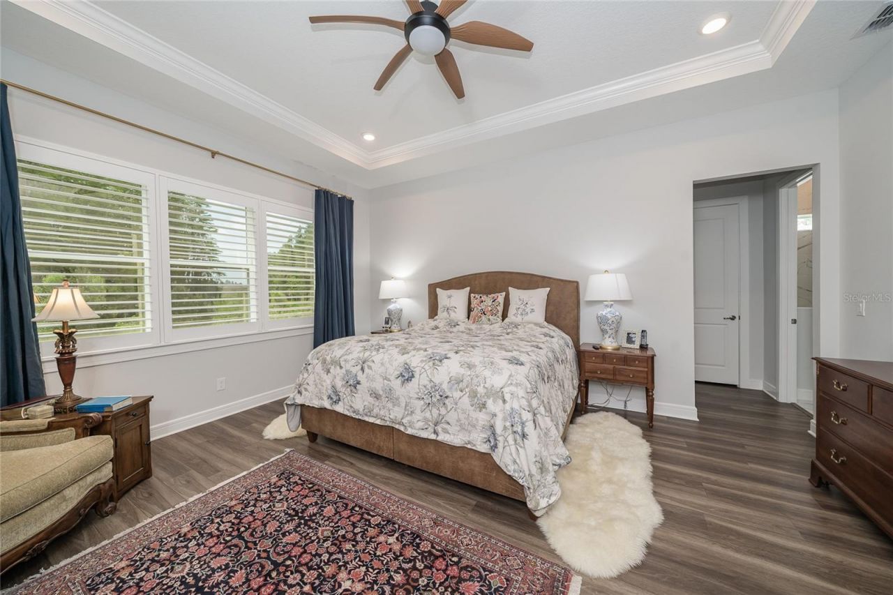 18793 Horizon View Point , Land O Lakes, FL 34638 Photo