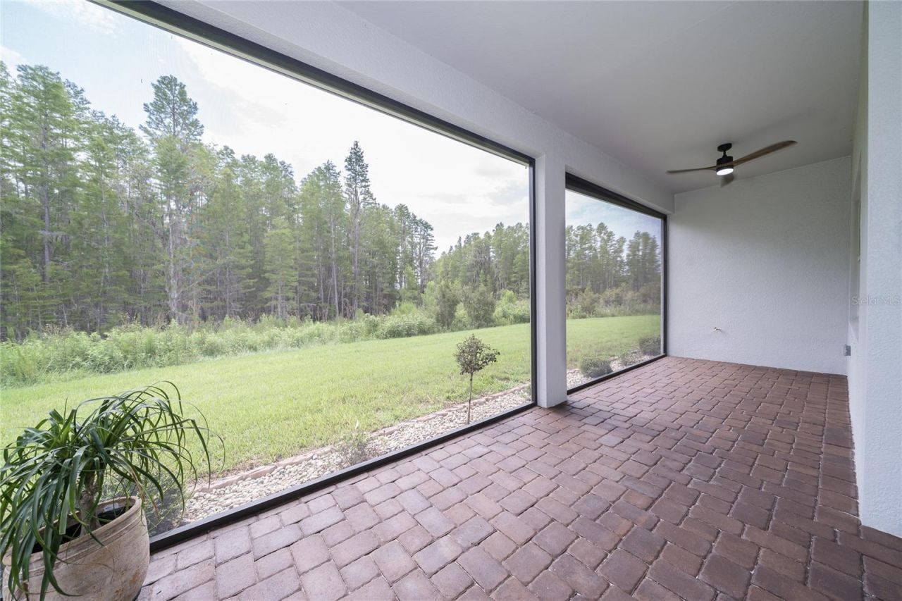 18793 Horizon View Point , Land O Lakes, FL 34638 Photo