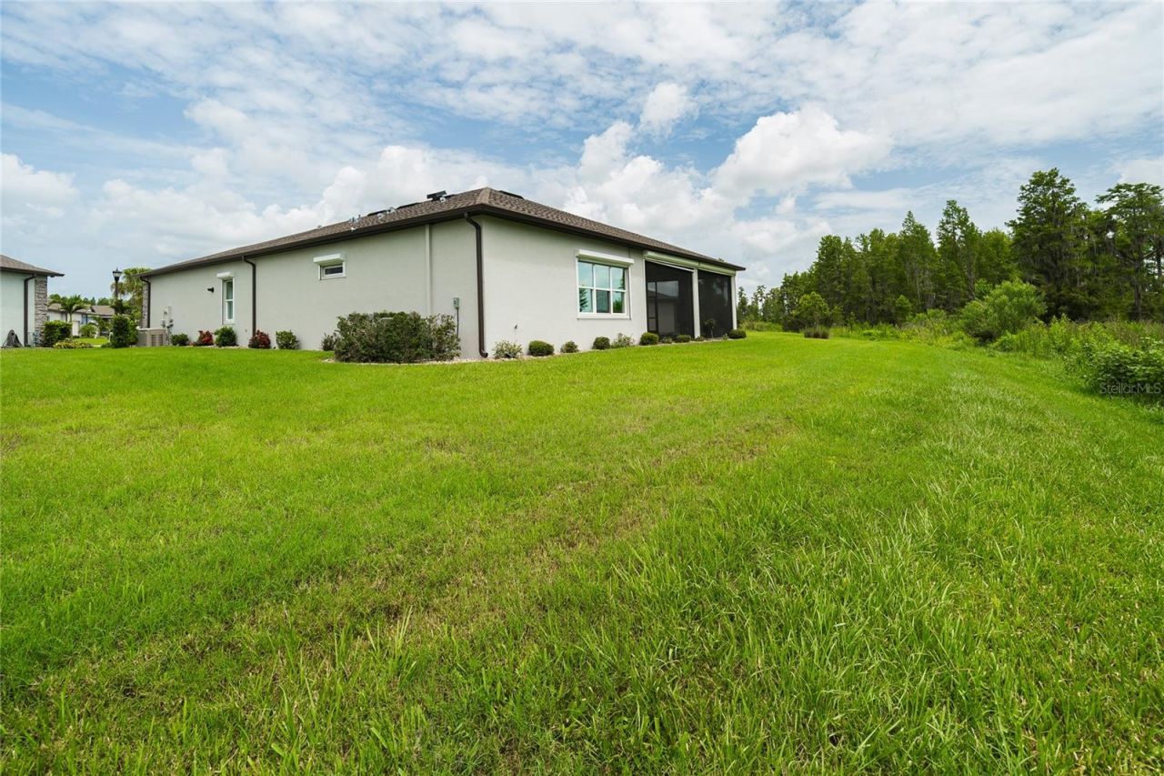18793 Horizon View Point , Land O Lakes, FL 34638 Photo