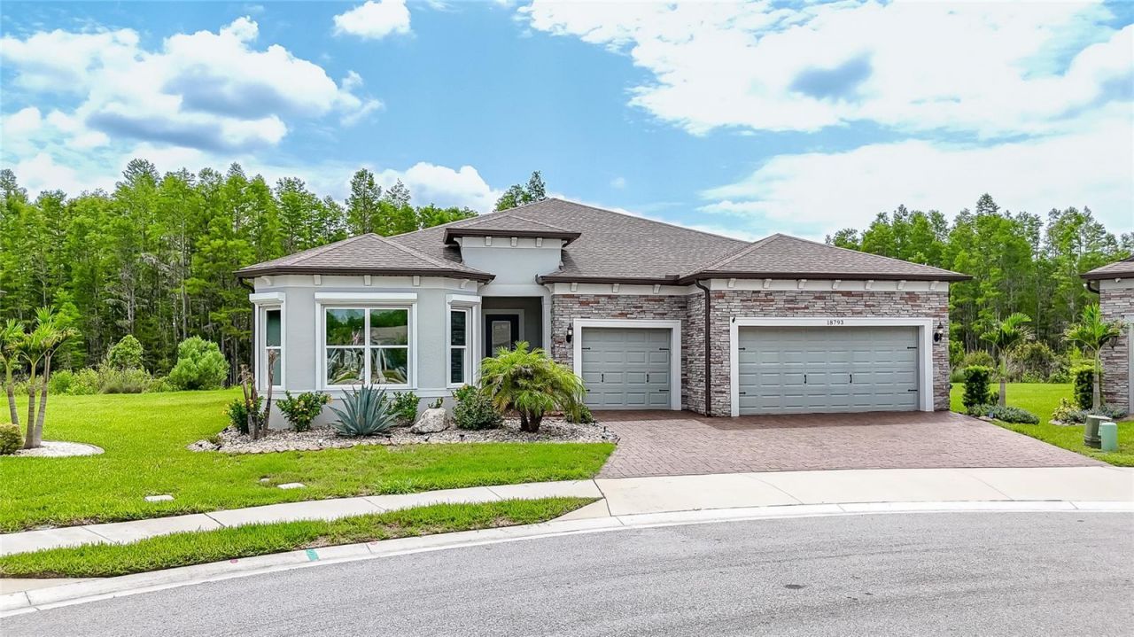 18793 Horizon View Point , Land O Lakes, FL 34638 Photo