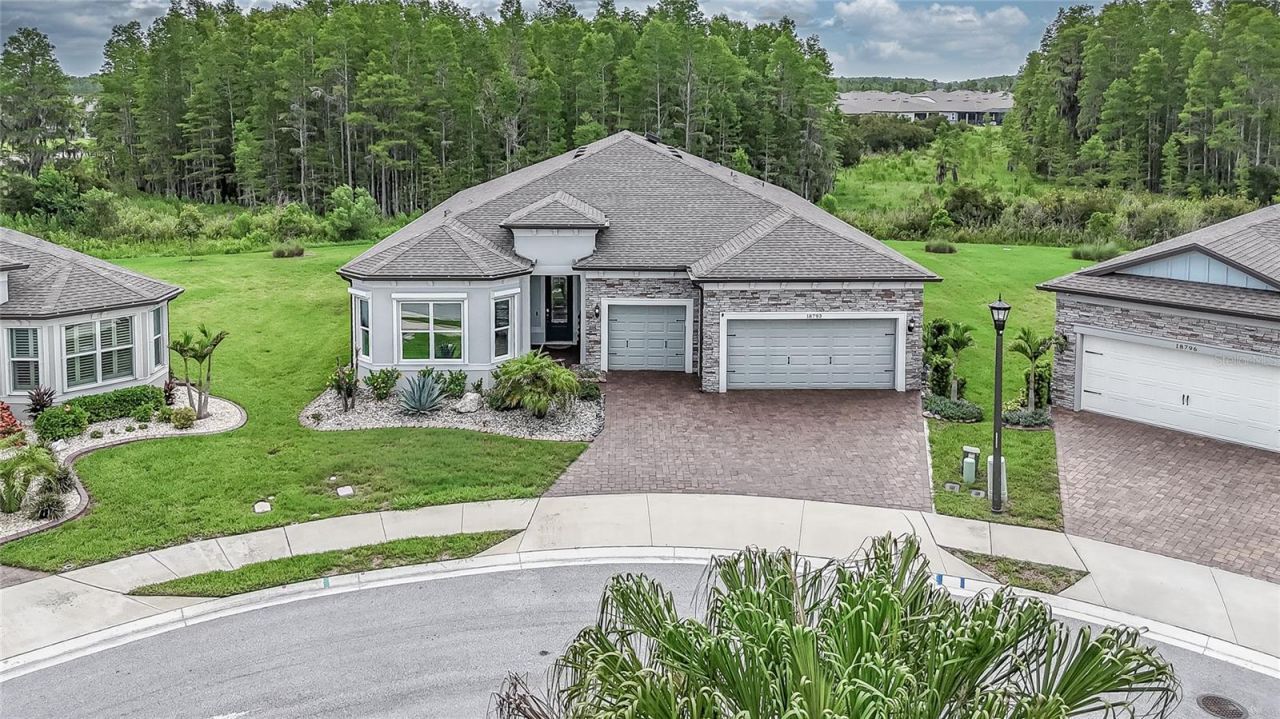 18793 Horizon View Point , Land O Lakes, FL 34638 Photo