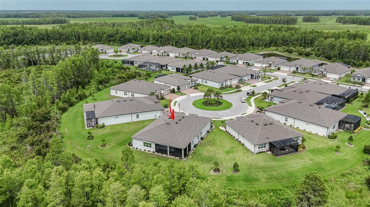 18793 Horizon View Point , Land O Lakes, FL 34638 Photo